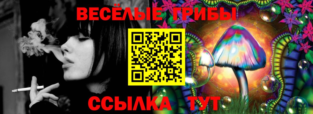 Псилоцибиновые грибы Cubensis Электросталь