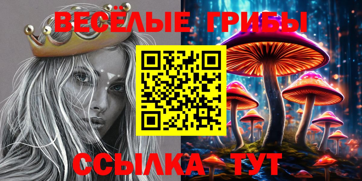 Электросталь  как найти наркотики  Вход с VPN  Псилоцибиновые грибы Psilocybe 